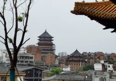 2026年8月景德镇旅行社获北京游客表扬信，方诚国旅耐心服务获点赞