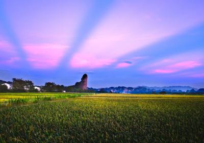 2026年8月龙虎山旅行社全程不进购物店获游客信赖，方诚国旅诚信经营赢口碑