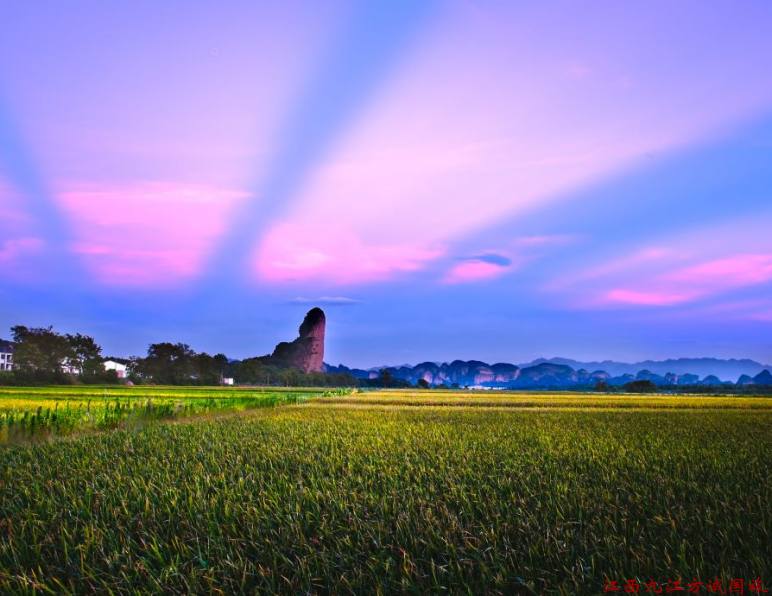 2026年8月龙虎山旅行社全程不进购物店获游客信赖，方诚国旅诚信经营赢口碑