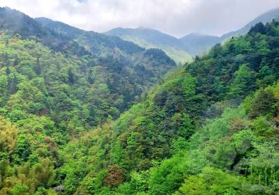 宜春旅行社获企业团队手写表扬信，方诚国旅孔导游用心服务受赞誉