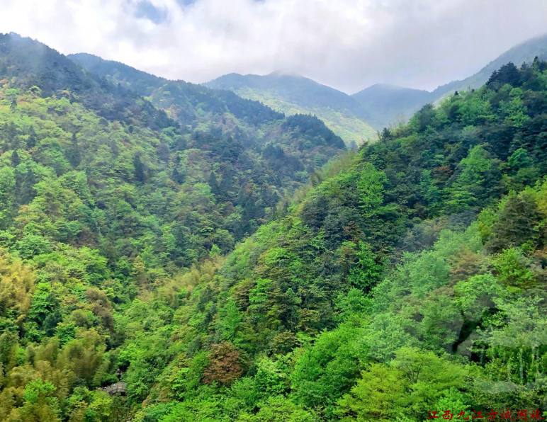 宜春旅行社获企业团队手写表扬信，方诚国旅孔导游用心服务受赞誉