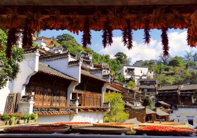2026年8月婺源旅行社从九江蓝天到方诚国旅，方诚国旅30年坚守获认可