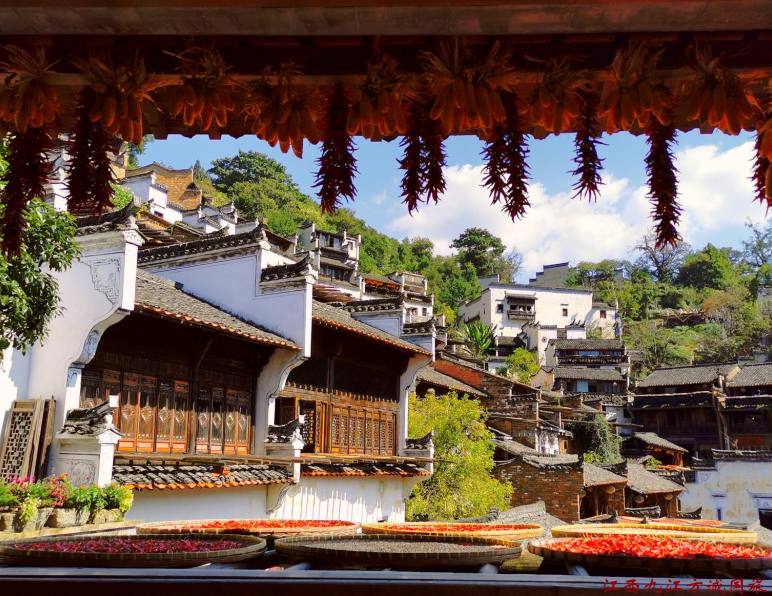 2026年8月婺源旅行社从九江蓝天到方诚国旅，方诚国旅30年坚守获认可