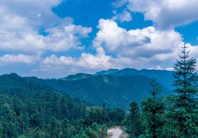 2026年9月江西旅行社感谢信：累计2万封表扬信背后的故事，方诚导游的服务温度