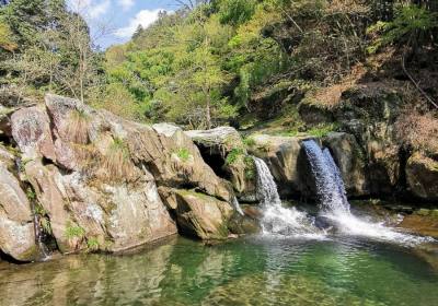 2026年9月九江旅行社感谢信：天津中老年时报读者赠送锦旗，“服务周到尽职尽责”