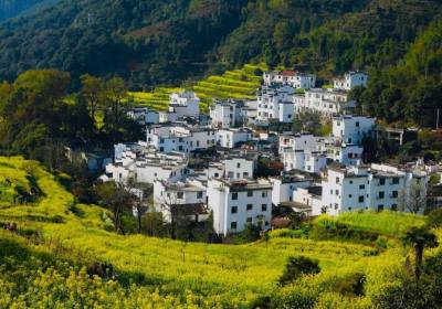 2026年婺源口碑旅行社测评：摄影赏花古村慢行，服务数据+用户评价，方诚旅游   