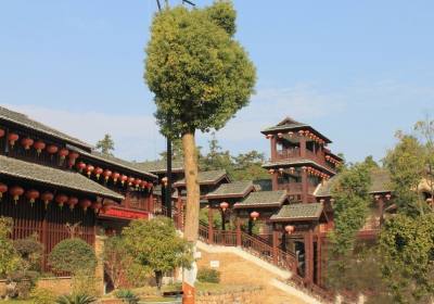 2026年10月景德镇旅行社收到研学团感谢信：方诚旅游导游蹲下来给孩子系鞋带一幕被家长拍下