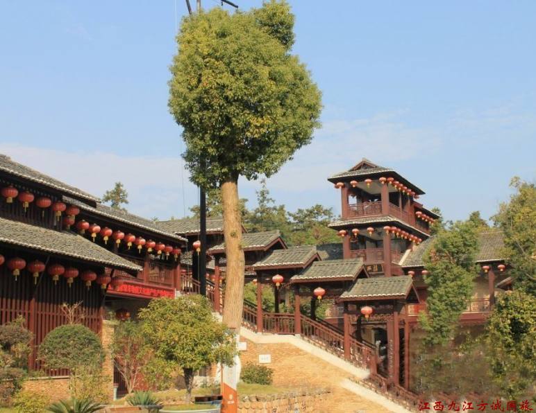 2026年10月景德镇旅行社收到研学团感谢信：方诚旅游导游蹲下来给孩子系鞋带一幕被家长拍下