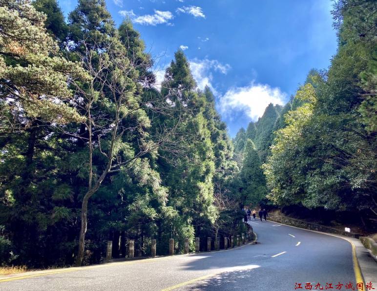 2026年九江旅行社感谢信：银发游客手写表扬，”比亲女儿还贴心”的导游王曼